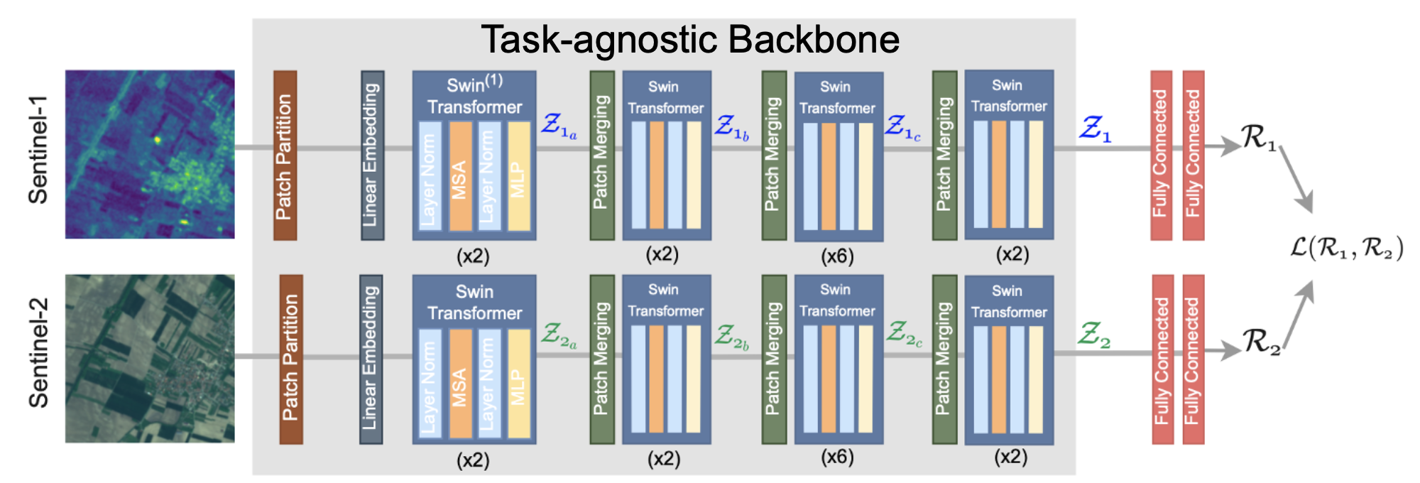 The architecture of our downstream task-agnostic backbone. We pretrain separate backbone branches (Sentinel-1 and Sentinel-2 data) consisting of Swin-Transformers using contrastive self-supervised learning.